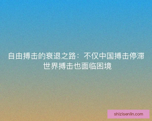 自由搏击的衰退之路:不仅中国搏击停滞 世界搏击也面临困境 自由搏击的衰退之路:不仅中国搏击停滞 世界搏击也面临困境