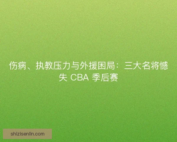 伤病、执教压力与外援困局：三大名将憾失 CBA 季后赛